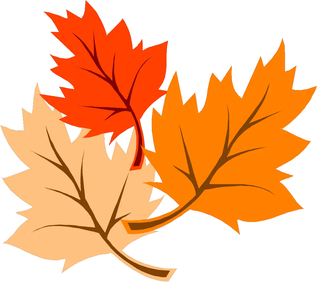 Thanksgiving Leaves Transparent Png Stickpng Autumn Leaf Clipart Gracias Png