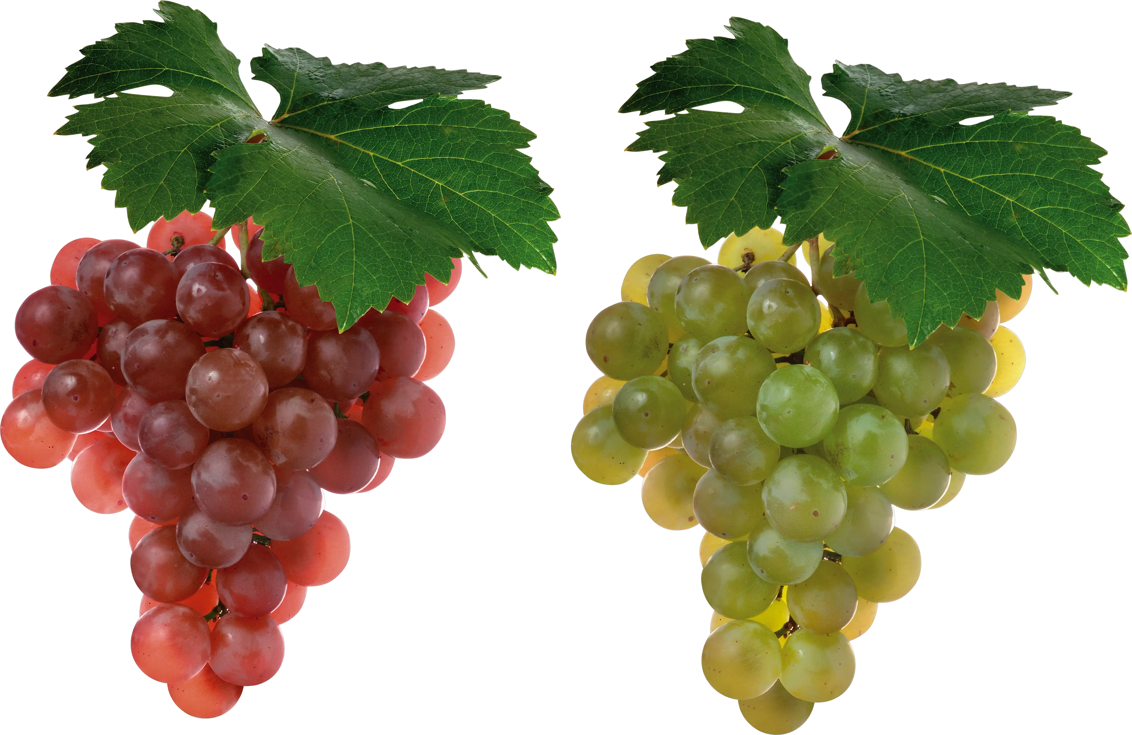 Download Free Png Grapes Imagenes De Frutas De Uvas Grapes Transparent Background