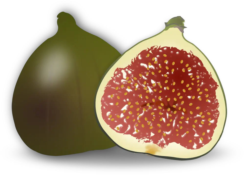 Foodpomegranateaccessory Fruit Png Clipart Royalty Free Clipart Image Of A Fig Weeping Icon