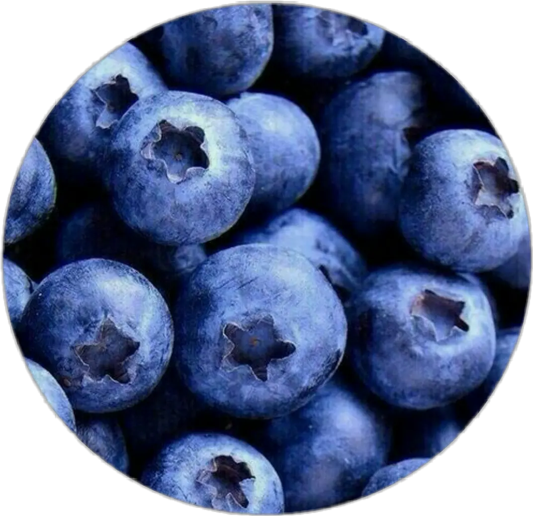 Circle Blue Arandano Fruit Sticker By Kathikamdeh Aesthetic Blueberries Png Blueberry Text Icon