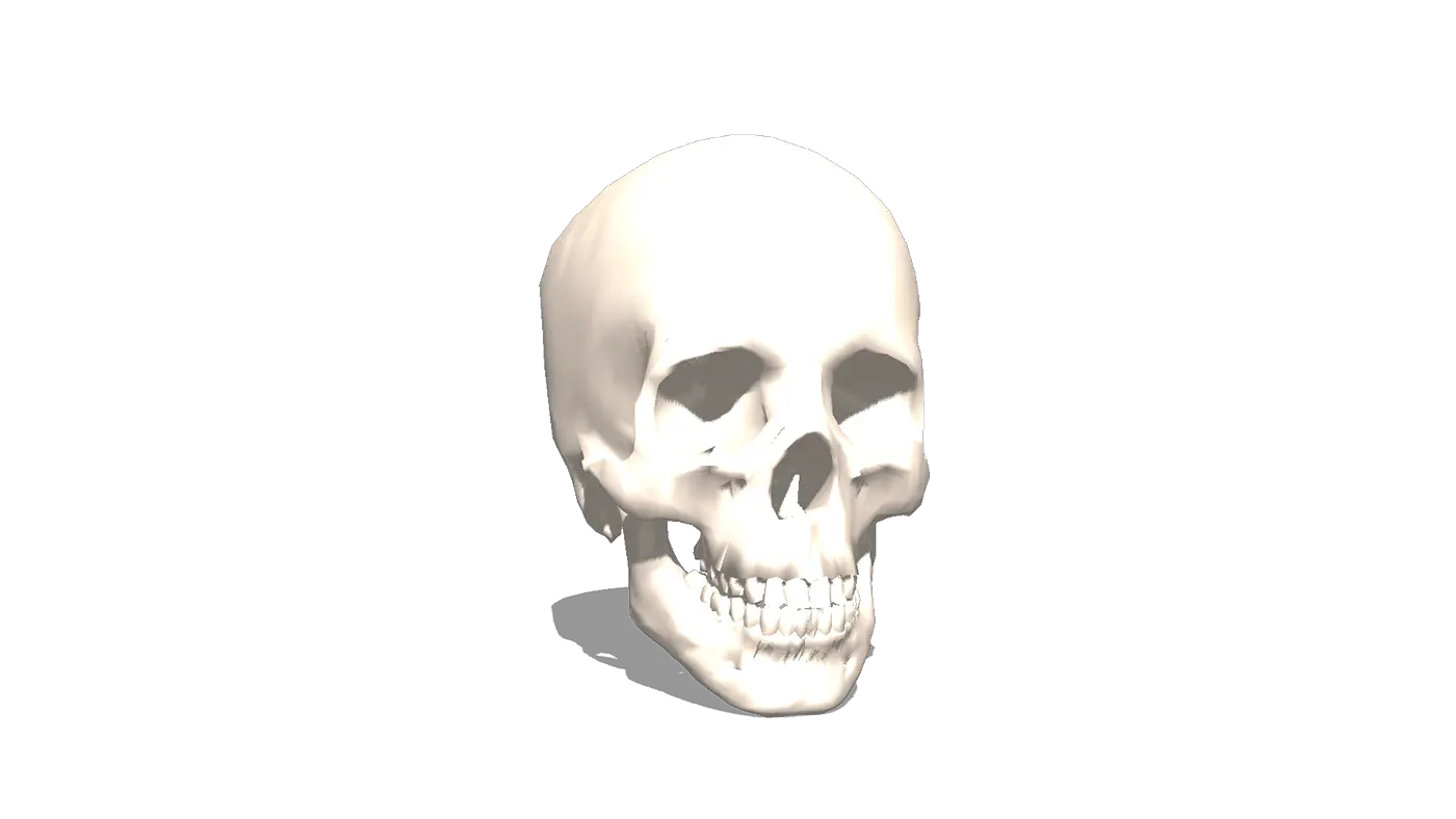 Skull From Archive3d 3d Printer Model 3d Skull Transparent Png 3d Skull Png