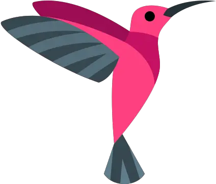 Hummingbird Icon Free Download Png And Vector Woodpecker Hummingbird Transparent Background