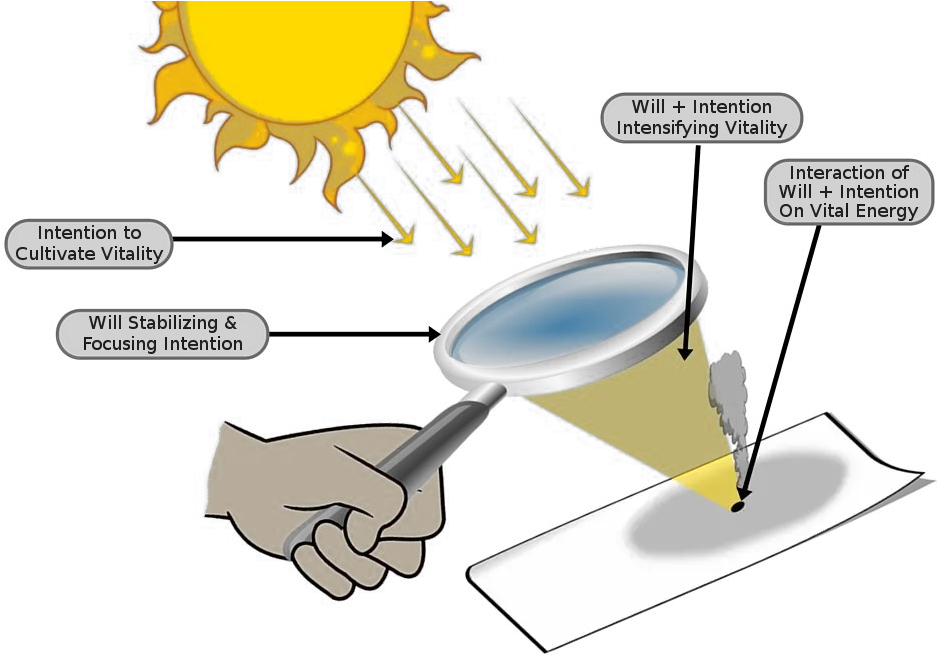 Download Hd Focused Rays Burn A Hole Magnifying Glass Start A Fire With A Magnifying Glass Png Film Burn Png
