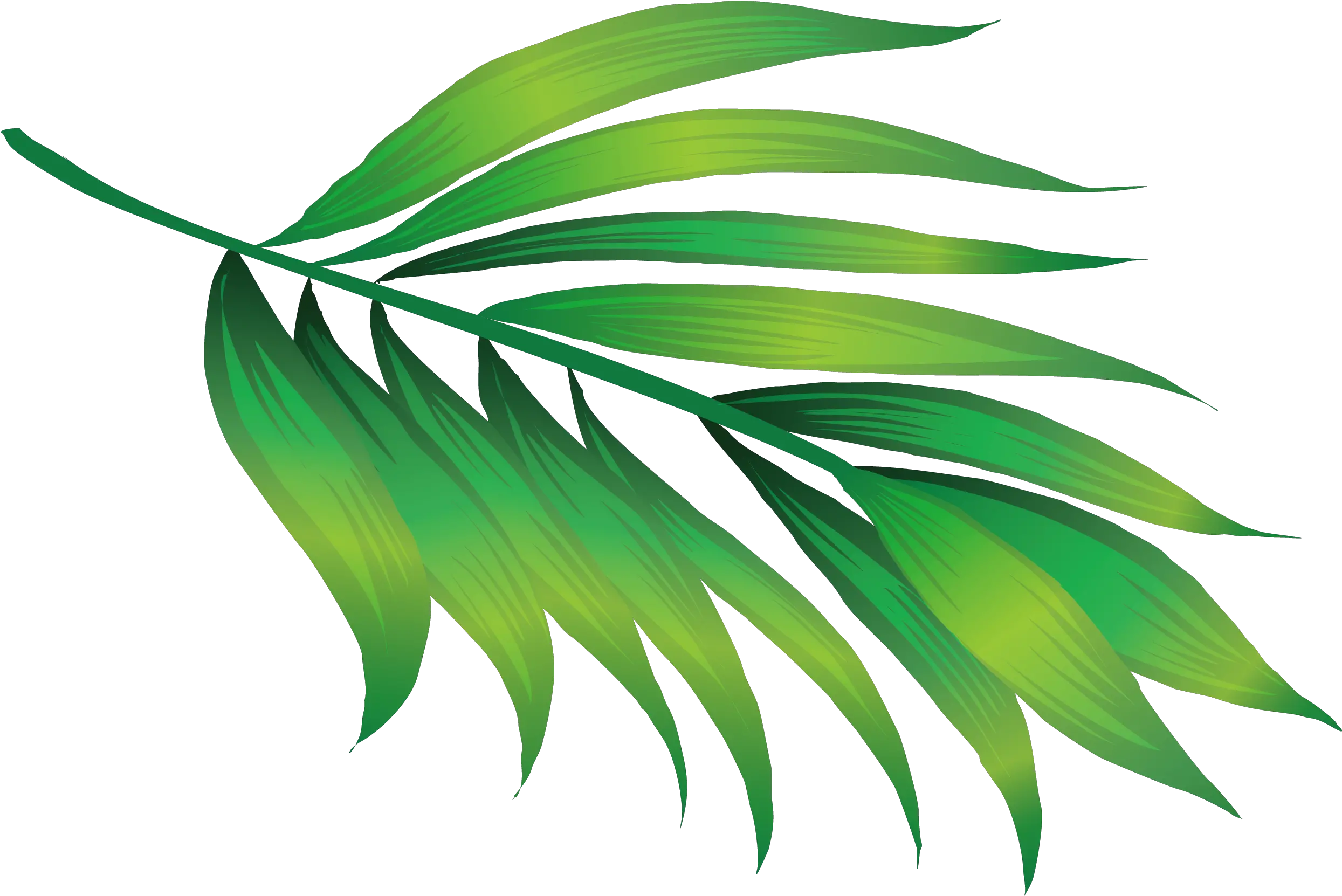 Green Leaf Icon Png Leaf Plant Stem Plant Png Image With Hawaii Green Plants Png Leaf Icon Png png