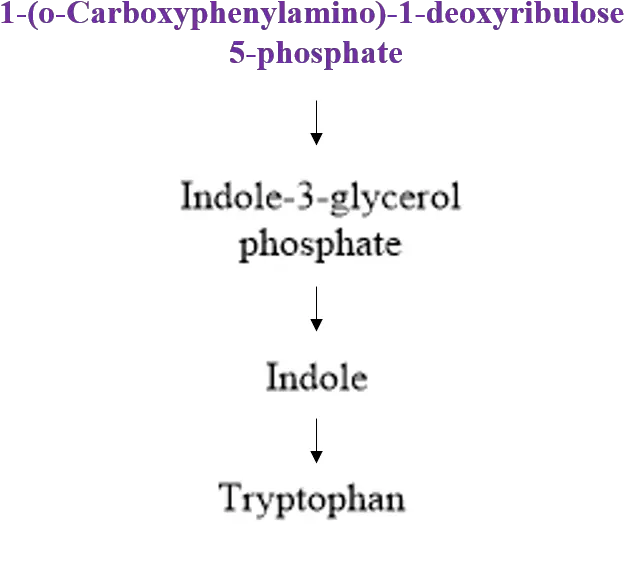 Downstream Pathway Number Png Pathway Png