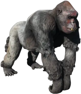 Gorilla Fallout Wiki Fandom Fallout Gorilla Png Gorilla Transparent Background