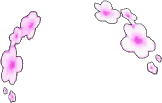 Flowercrown Flower Crown Snapchat Snapchatfilters Filte Clip Art Png Snapchat Flower Crown Png