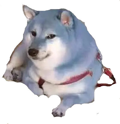 Blue Doge But What If It Was Blue Doge Meme Png Doge Png