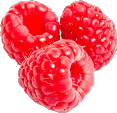 Large Raspberry Transparent Png Raspberry Png Raspberries Png