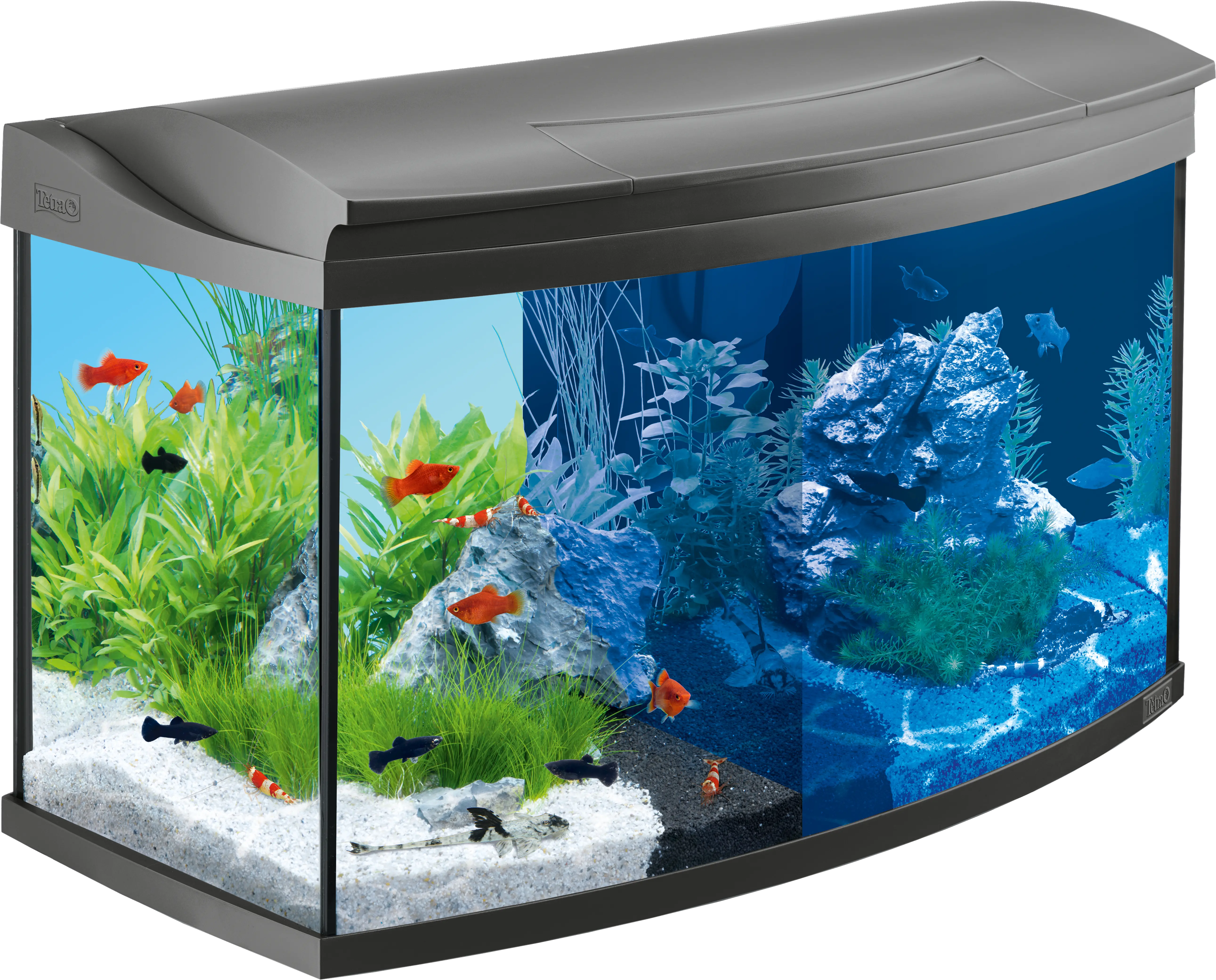 Aquarium Png Fish Tank