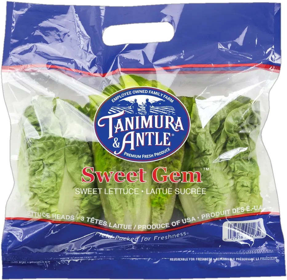 Artisan Lettuce Superfood Png Lettuce Transparent
