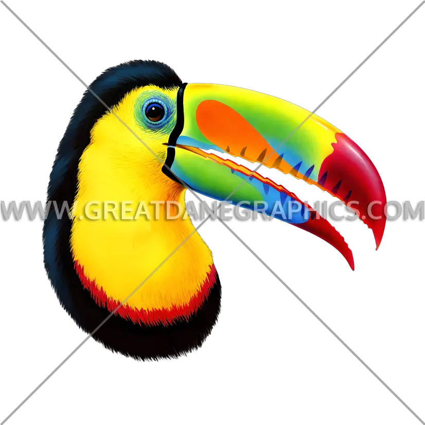 Toucan Production Ready Artwork For T Shirt Printing Toco Toucan Png Toucan Png