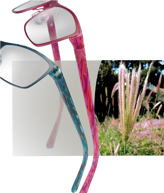 Morel Eyewear Full Rim Png Swag Glasses Transparent