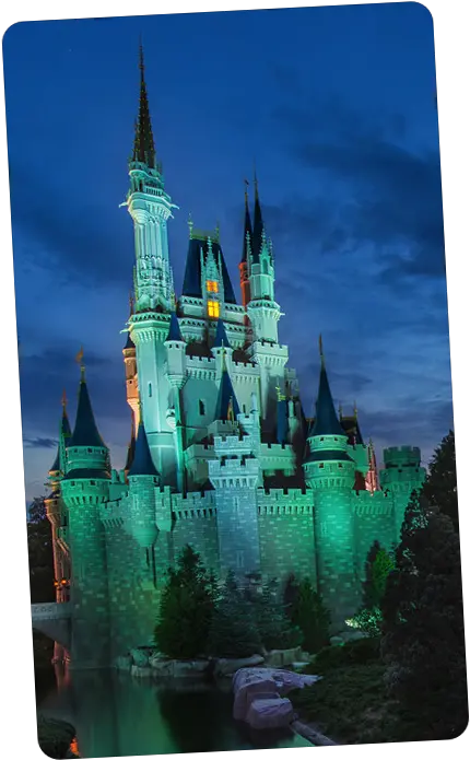 Disney World Food Allergies And Dining Online Guide To Walt Disney World Png Disneyland Castle Png