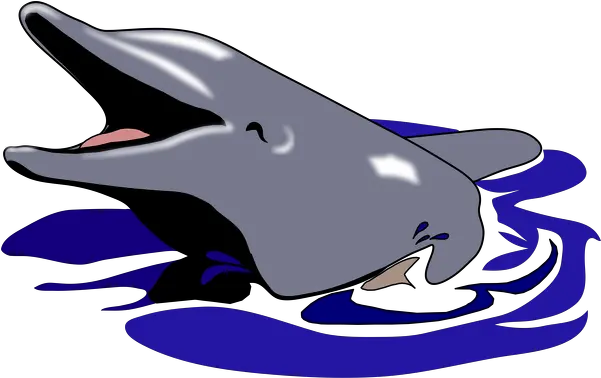 Dolphin Dolphin Mouth Open Clipart Png Open Mouth Png