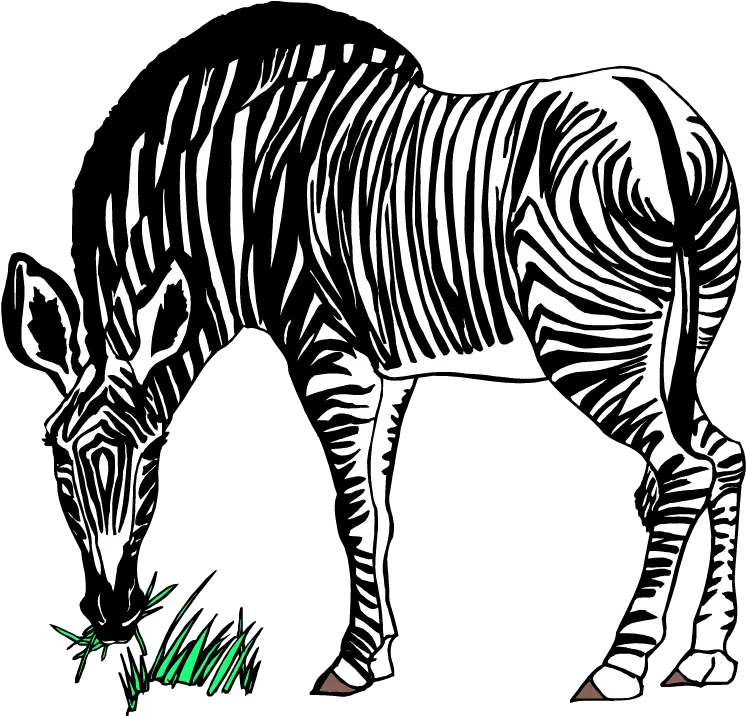 Zebra Png Images Transparent Background Play Zebra Eating Grass Clipart Grass Clipart Transparent