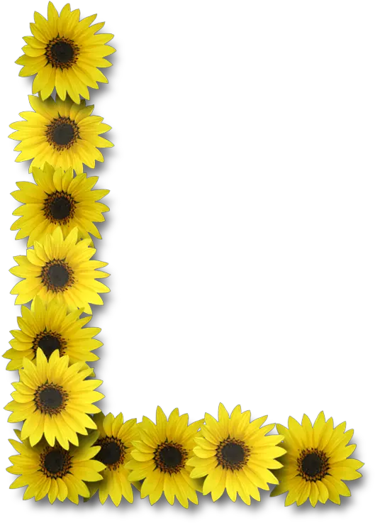 Alfabeto Sunflowers Letra L Con Girasoles Png Sunflower Emoji Transparent