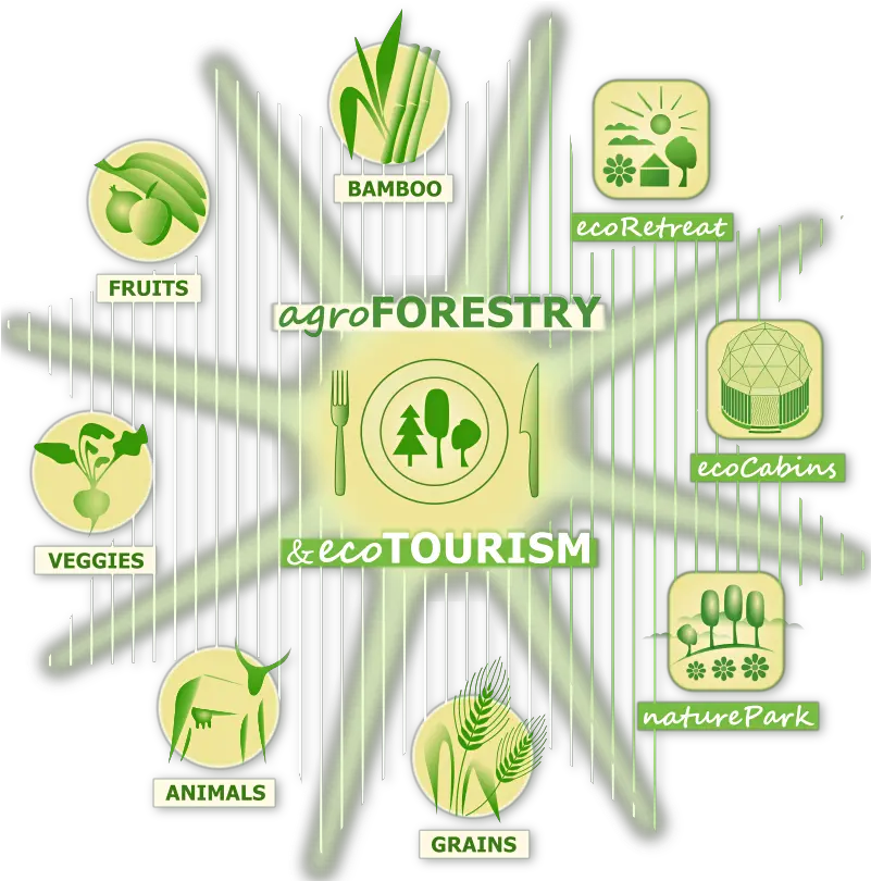 Regenerative Agriculture Agroecology Bamboo Forest Ecosystem Logo Png Ecosystem Png