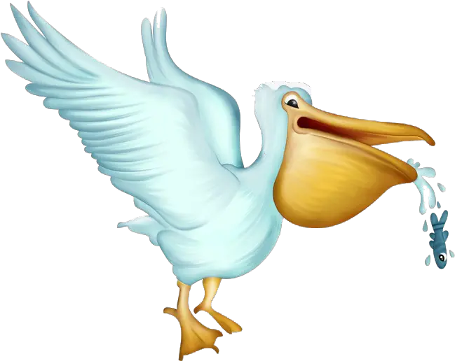 Png Transparent Images Free Download Pelican