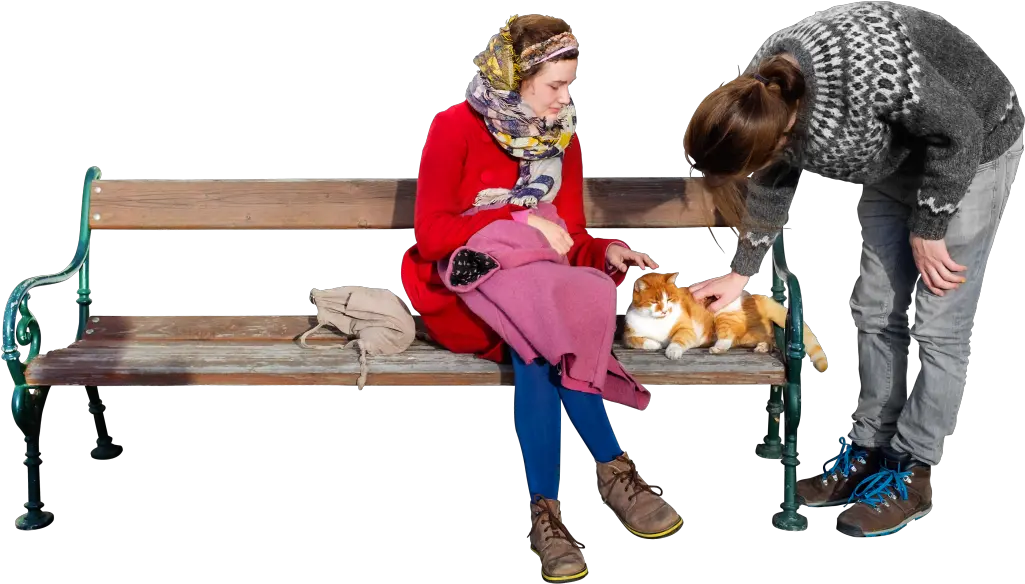 Download The Cat Loves P And G Sun Png Image For Free Sitting On Bench Png Red Sun Png