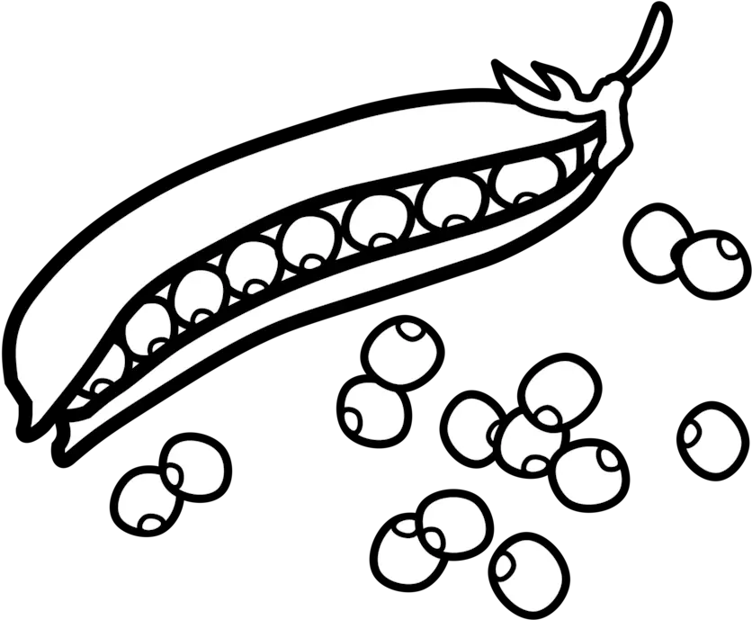 Line Artplantdrawing Png Clipart Royalty Free Svg Png Green Peas Clipart Black And White Pea Png