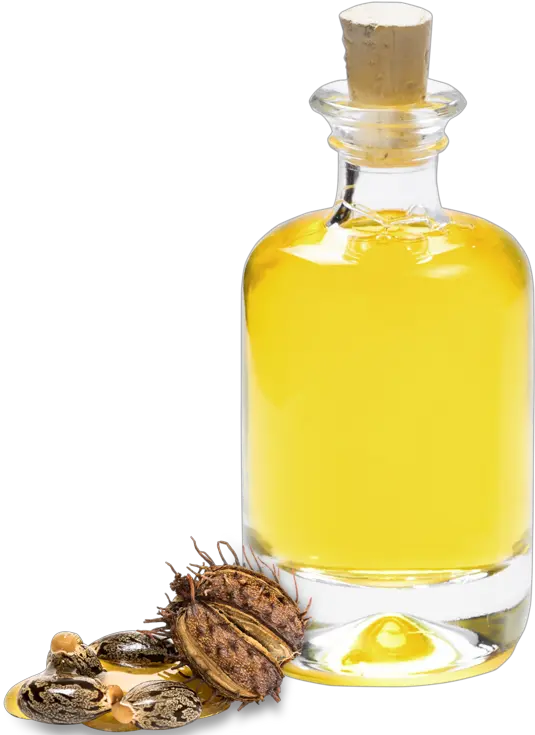 Castor Oil Purchasing Manufacturer U0026 Supplier B2b Gustav Pistachio Oil A Bottle Png Oil Transparent Background