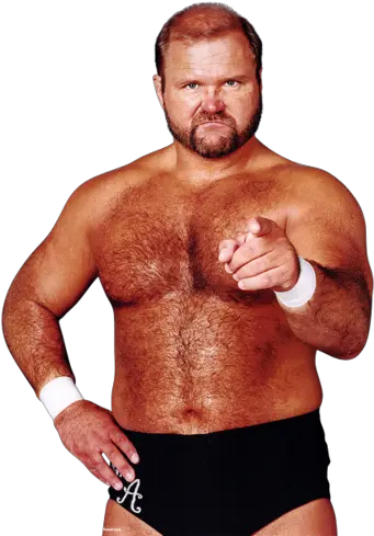 Why Didnt Arn Anderson Get A Run Of Arn Anderson Png Wwe Layla Icon
