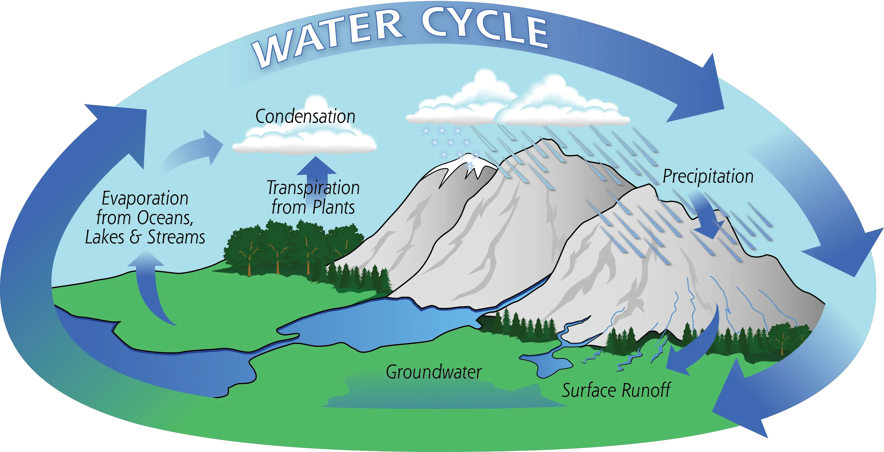 The Water Cycle Water Cycle In Coral Reefs Png Condensation Png
