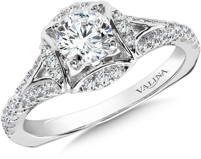 Halo Engagement Ring Mounting In 14k Whiterose Gold 29 Ct Tw Ring Png White Rose Transparent Background