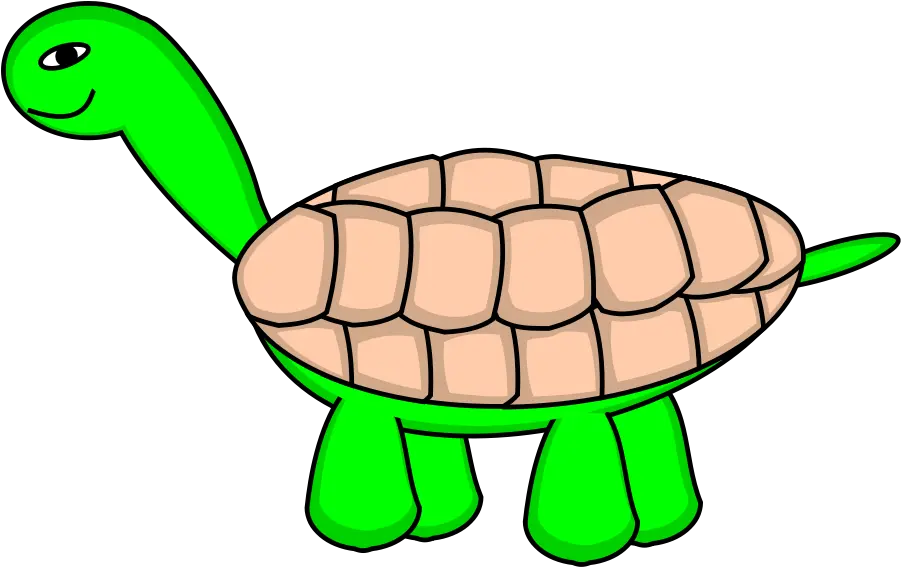 Tortoise Stage 6 Final Png Clip Arts For Web Clip Arts Tortuga De Carey Dibujo Tortoise Png