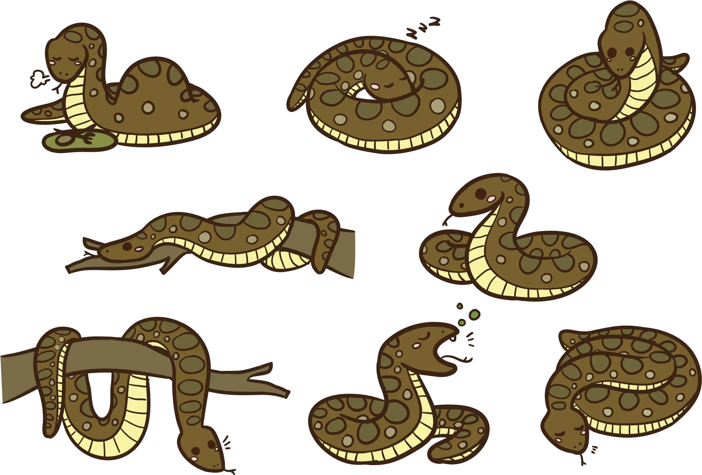 Download Anaconda Cartoon Vector Rattlesnake Png Anaconda Png