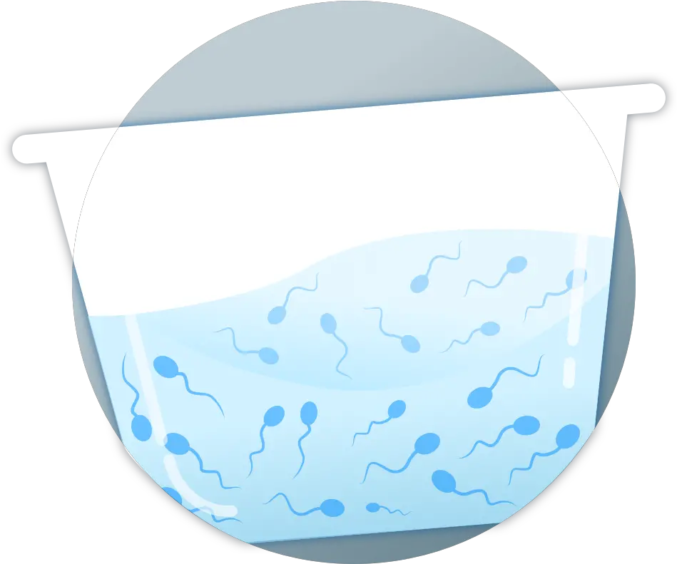 Saving And Storing Your Sperm Truenth Testicular Cancer Circle Png Sperm Png