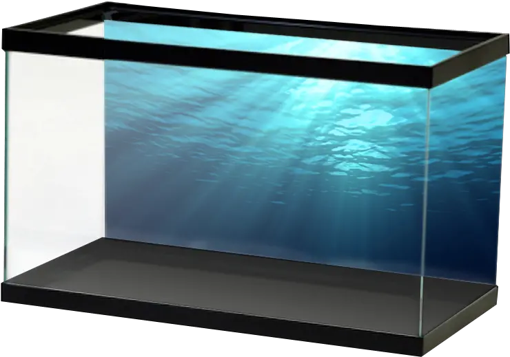 Ocean Background Png Salt Ocean Fish Tank Ocean Aquarium Ocean Transparent Background