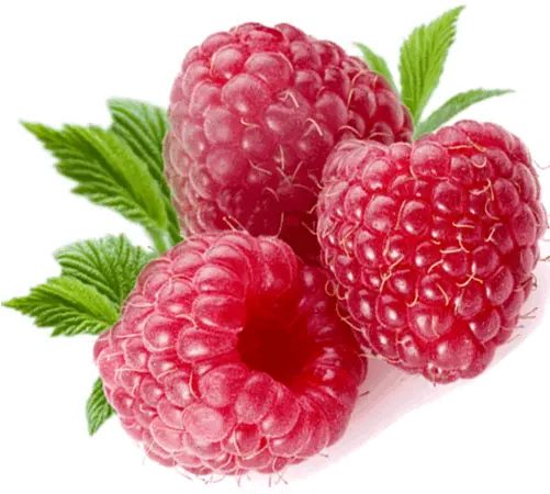 Raspberry Png Images Free Pictures Download Transparent Background Raspberry Png Raspberries Png
