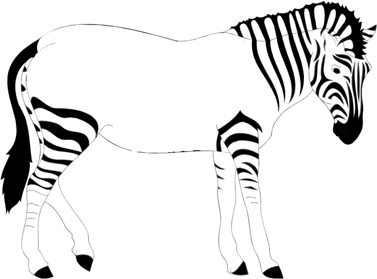 Download Hd Print Out The Zebra 10 Lines On Zebra Zebra Lost His Stripes Png Zebra Png