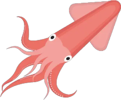 Squid Png And Vectors For Free Download Transparent Squid Clip Art Squid Png