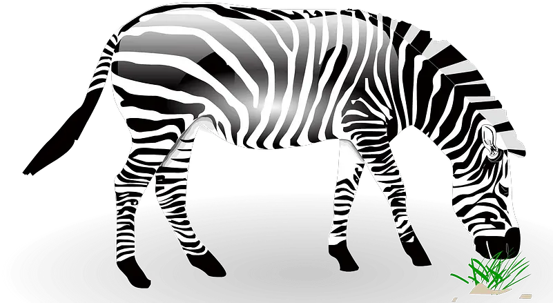 Download Zebra Eating Grass Clipart Zebra Eat Grass Zebra Eating Grass Clipart Png Eat Png