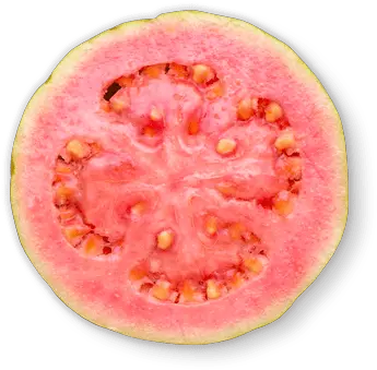 Guava Png Guava Fruit Slice Png Guava Png