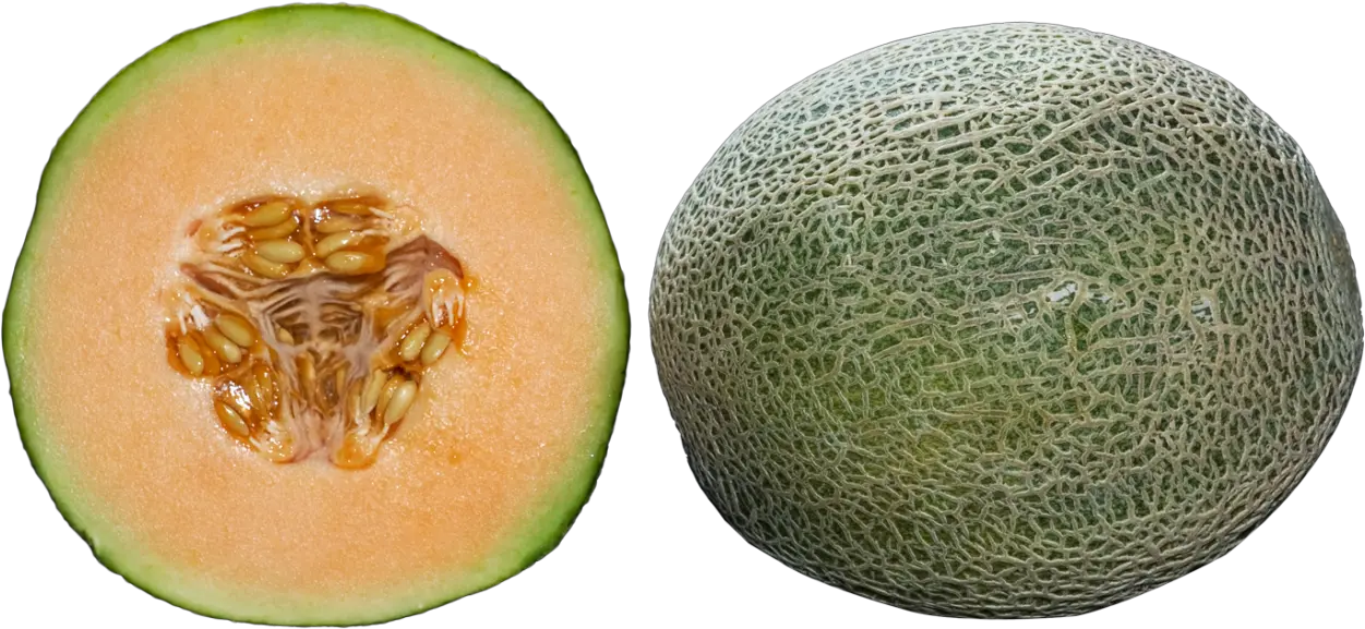 Half Cantaloupe Slices Png Image Whole Cantaloupe Png Cantaloupe Png