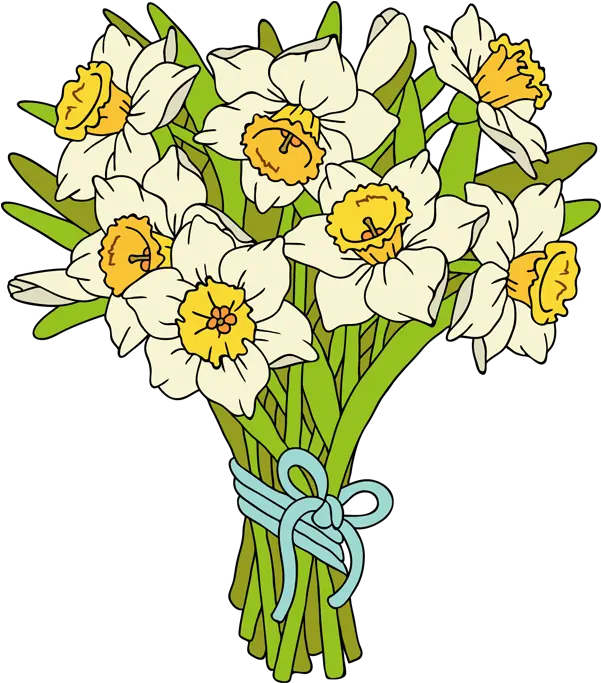 Download Pictures Of Daffodils Daffodil Bouquet Clip Art Clipart Daffodils Png Daffodil Png