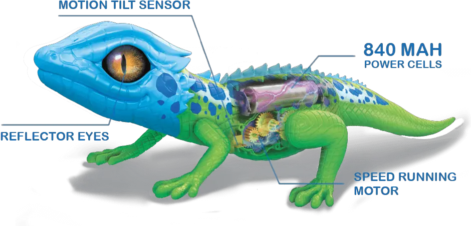 Download Hd 14 Real Life Pets Robot Lizard Transparent Png Lizard Transparent