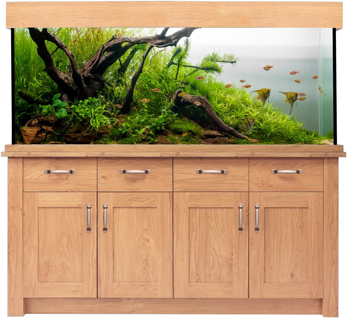 Aqua One Oakstyle Aquarium And Cabinet 300 Litres Nature Aquarium With Driftwood Png Fish Bowl Transparent Background