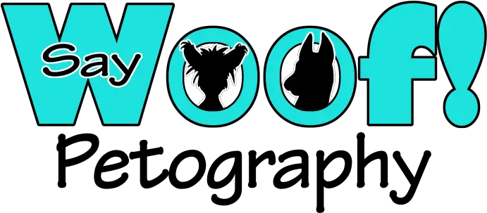 Say Woof Pet Photography Fused With Graphic Arts Hanukkah Petography Png Hanukkah Icon