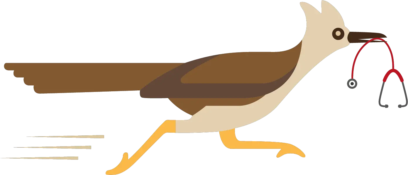 Woodpecker Transparent Png Phasianidae Woodpecker Png