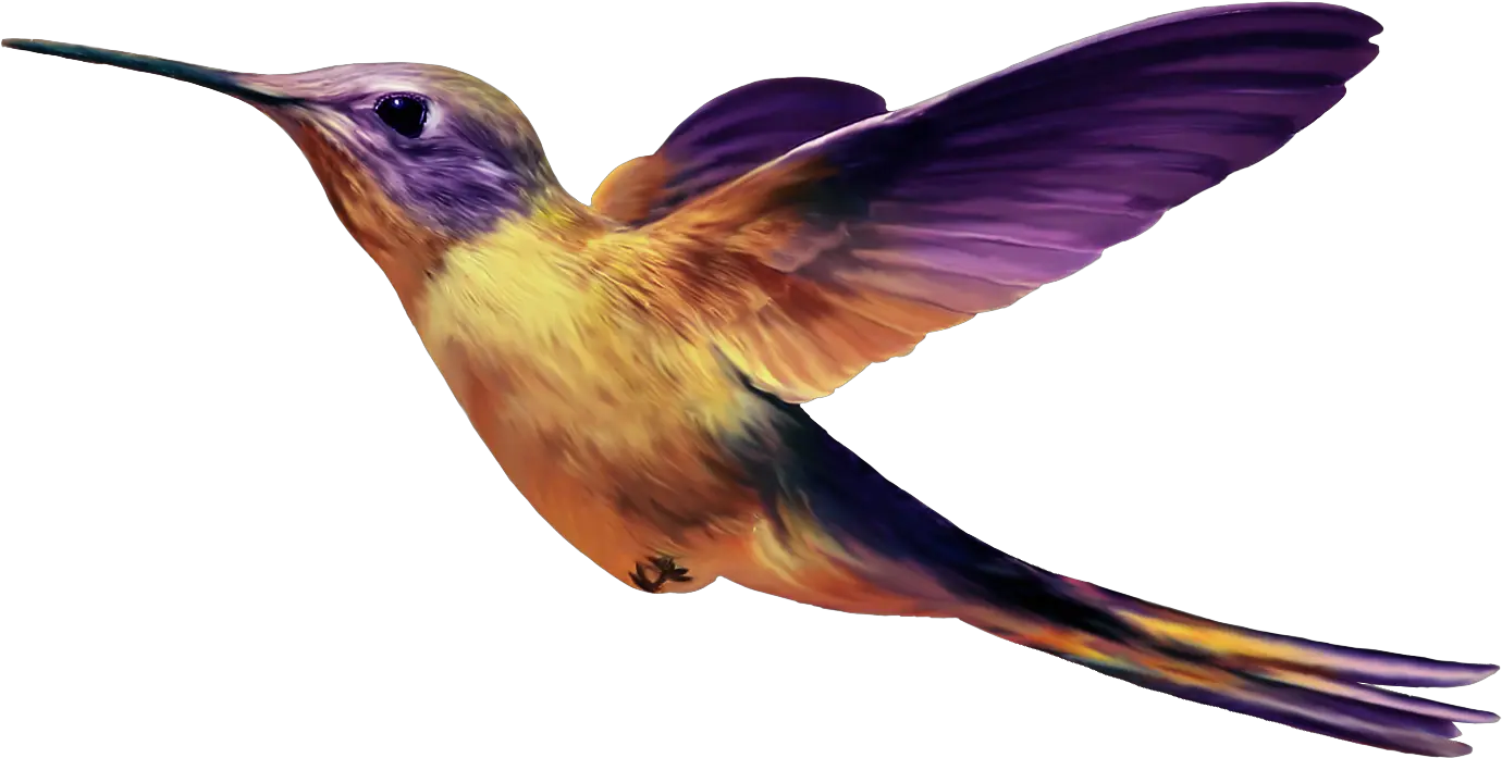 Birds Transparent Png File Purple And Yellow Hummingbird Bard Png