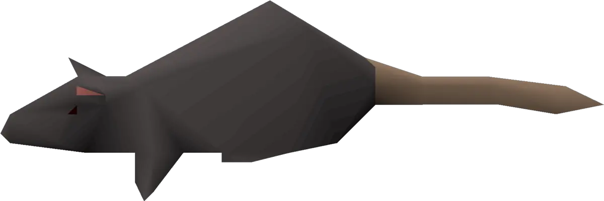 Rat Osrs Wiki Paddle Png Rats Png