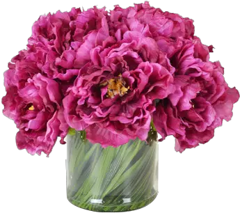 Peony Vase Png Image Flowers Peonies Png