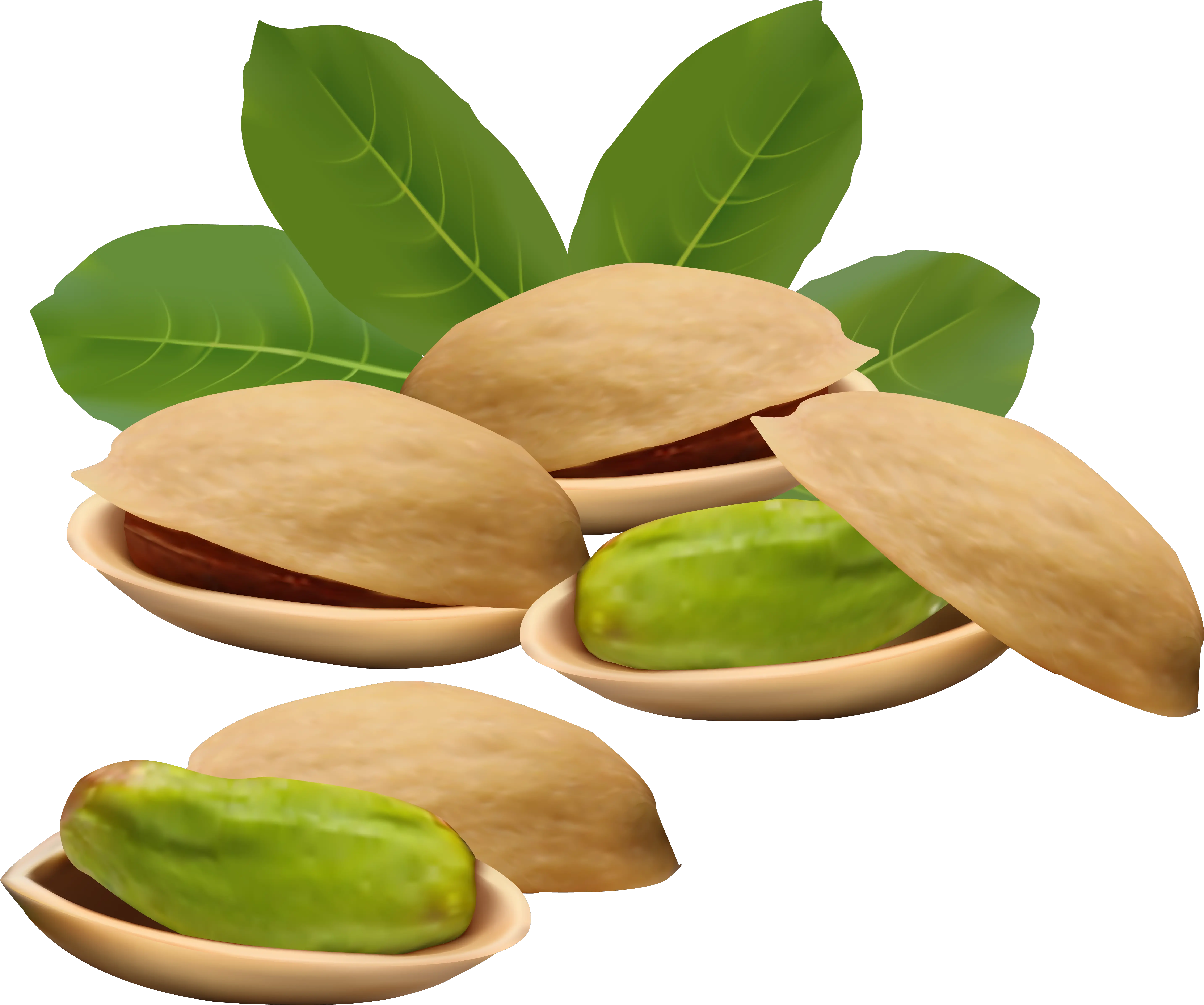 Download Green Nut Vector Full Size Png Image Pngkit Pistachio Nuts Png Nut Png