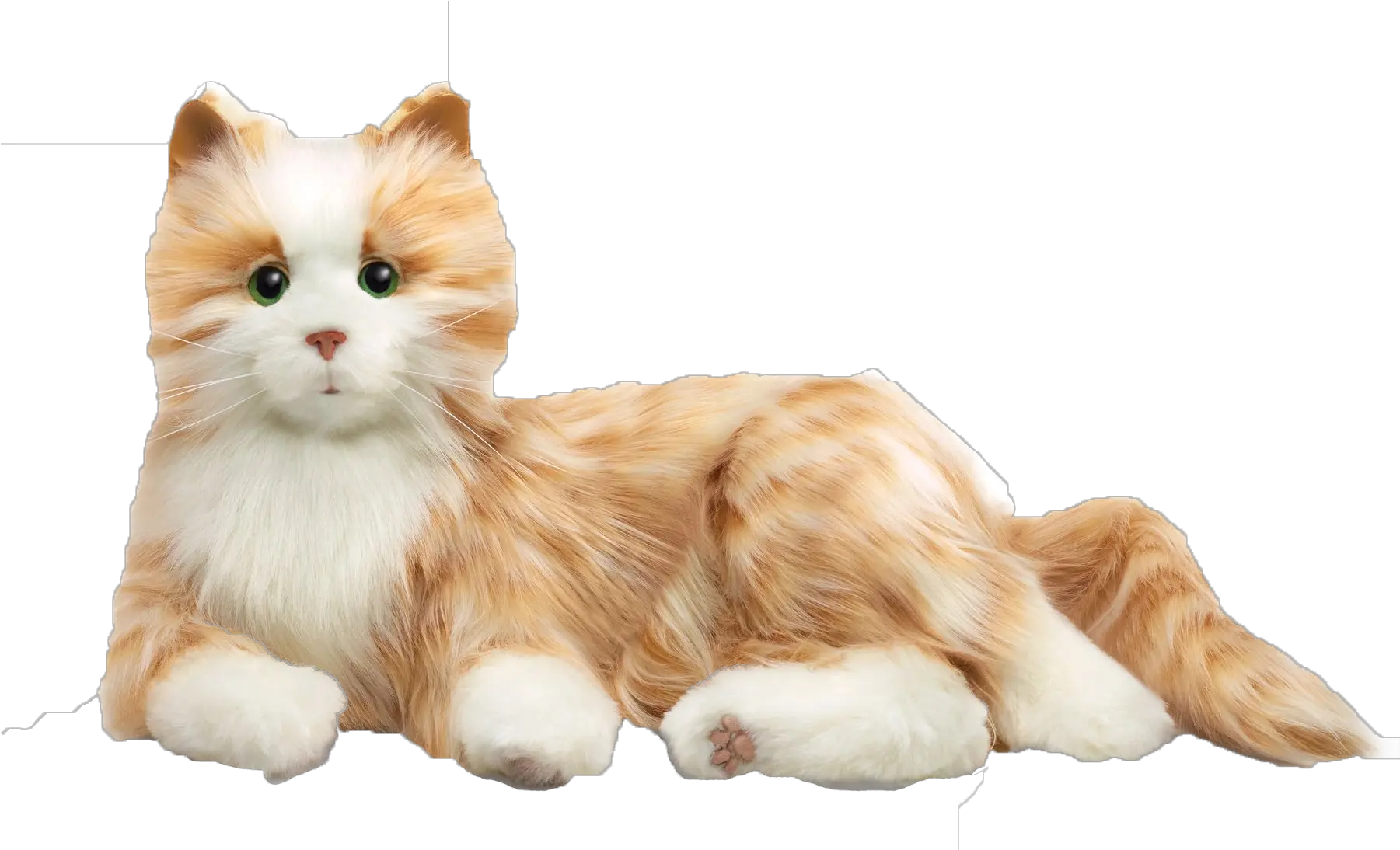 Cats Png Transparent Background