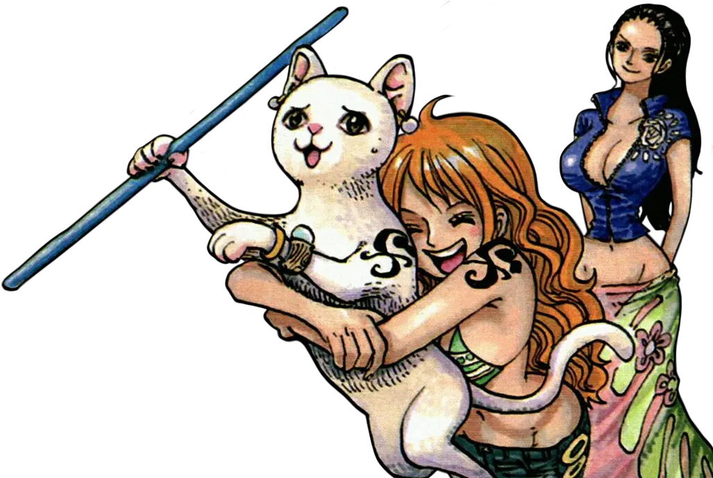 Pin Nami And Robin Color Spread Png Nami Png